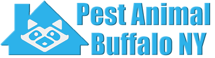 Buffalo Wildlife and Animal Removal